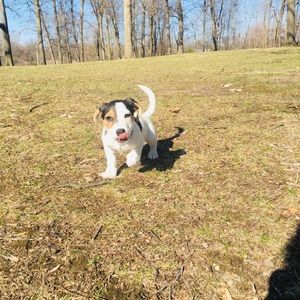 Meet your Posher, Darien